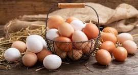 oeuf frais